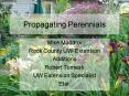 Propagating Perennials PowerPoint PPT Presentation