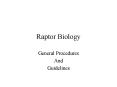 Raptor Biology PowerPoint PPT Presentation