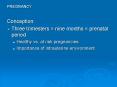 PREGNANCY PowerPoint PPT Presentation