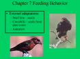 Chapter 7 Feeding Behavior PowerPoint PPT Presentation
