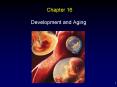 Development and Aging PowerPoint PPT Presentation