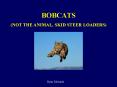 BOBCATS PowerPoint PPT Presentation
