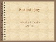 Pain and injury