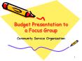 Budget Presentation to a Focus Group PowerPoint PPT Presentation