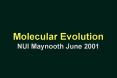 Molecular Evolution NUI Maynooth June 2001 PowerPoint PPT Presentation