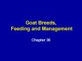 Goat Breeds, Feeding and Management PowerPoint PPT Presentation