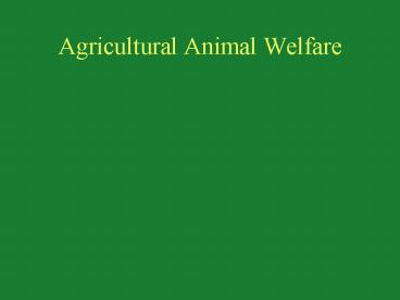 Agricultural Animal Welfare