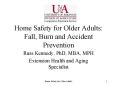 Home Safety for Older Adults: Fall, Burn and Accident Prevention PowerPoint PPT Presentation
