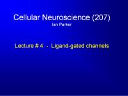 Cellular Neuroscience 207 Ian Parker Lecture