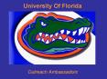 University Of Florida PowerPoint PPT Presentation