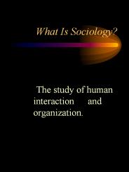 What Is Sociology?