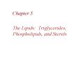The Lipids: Triglycerides, Phospholipids, and Sterols PowerPoint PPT Presentation