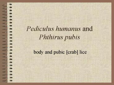 Pediculus humanus and Phthirus pubis