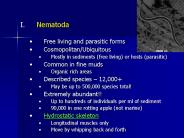 Nematoda