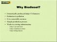 Why Biodiesel? PowerPoint PPT Presentation