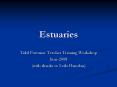 Estuaries PowerPoint PPT Presentation