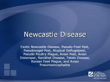 Newcastle%20Disease