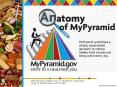 Anatomy of MyPyramid PowerPoint PPT Presentation