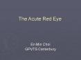 The Acute Red Eye PowerPoint PPT Presentation