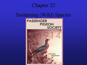 Sustaining Wild Species
