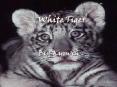White Tiger PowerPoint PPT Presentation