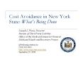 Cost Avoidance in New York State: Whats Being Done PowerPoint PPT Presentation