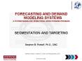 FORECASTING AND DEMAND MODELING SYSTEMS PowerPoint PPT Presentation