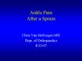 Ankle Pain After a Sprain PowerPoint PPT Presentation