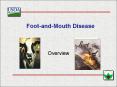 FootandMouth Disease PowerPoint PPT Presentation