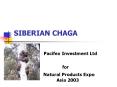 SIBERIAN CHAGA PowerPoint PPT Presentation