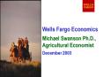 Wells Fargo Economics PowerPoint PPT Presentation