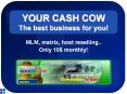YOUR CASH COW The best business for you PowerPoint PPT Presentation