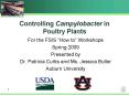 Controlling Campylobacter in Poultry Plants PowerPoint PPT Presentation