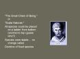 "The Great Chain of Being." or PowerPoint PPT Presentation