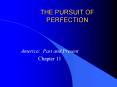 THE PURSUIT OF PERFECTION PowerPoint PPT Presentation