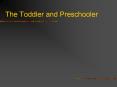 The Toddler and Preschooler PowerPoint PPT Presentation