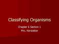 Classifying Organisms PowerPoint PPT Presentation
