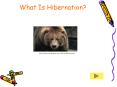 What Is Hibernation PowerPoint PPT Presentation
