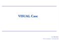 VISUAL Case PowerPoint PPT Presentation