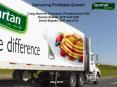 Delivering Profitable Growth PowerPoint PPT Presentation