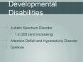Developmental Disabilities PowerPoint PPT Presentation