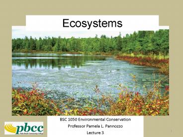 Principles of Ecology: Matter, Energy, and Life