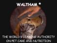 WALTHAM PowerPoint PPT Presentation