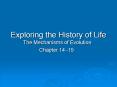 Exploring the History of Life PowerPoint PPT Presentation