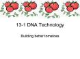131 DNA Technology PowerPoint PPT Presentation