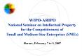 WIPO-ARIPO National Seminar on Intellectual Property for the Competitiveness of  Small and Medium-Size Enterprises (SMEs)  Harare, February 7 to 9, 2007 PowerPoint PPT Presentation