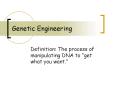 Genetic Engineering PowerPoint PPT Presentation