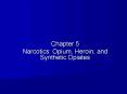 Narcotics: Opium, Heroin, and Synthetic Opiates PowerPoint PPT Presentation