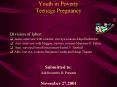 Youth in Poverty Teenage Pregnancy PowerPoint PPT Presentation