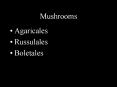 Mushrooms PowerPoint PPT Presentation